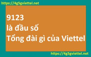 9123 là đầu số tổng đài gì của Viettel