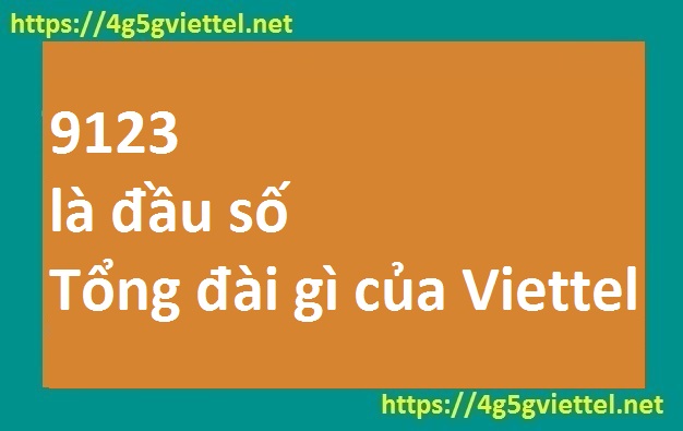 9123 là đầu số tổng đài gì của Viettel