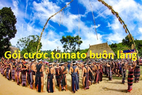 Gói cước Tomato Buôn làng